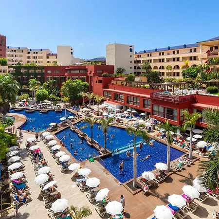 بيست جاكاراندا